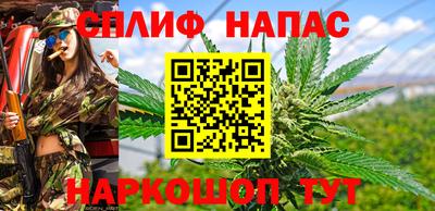 СК Кунгур