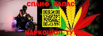 СК Кунгур