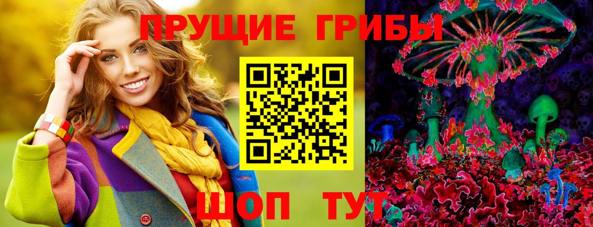 Галлюциногенные грибы GOLDEN TEACHER  Вход с VPN  Димитровград  Псилоцибиновые грибы мухоморы 