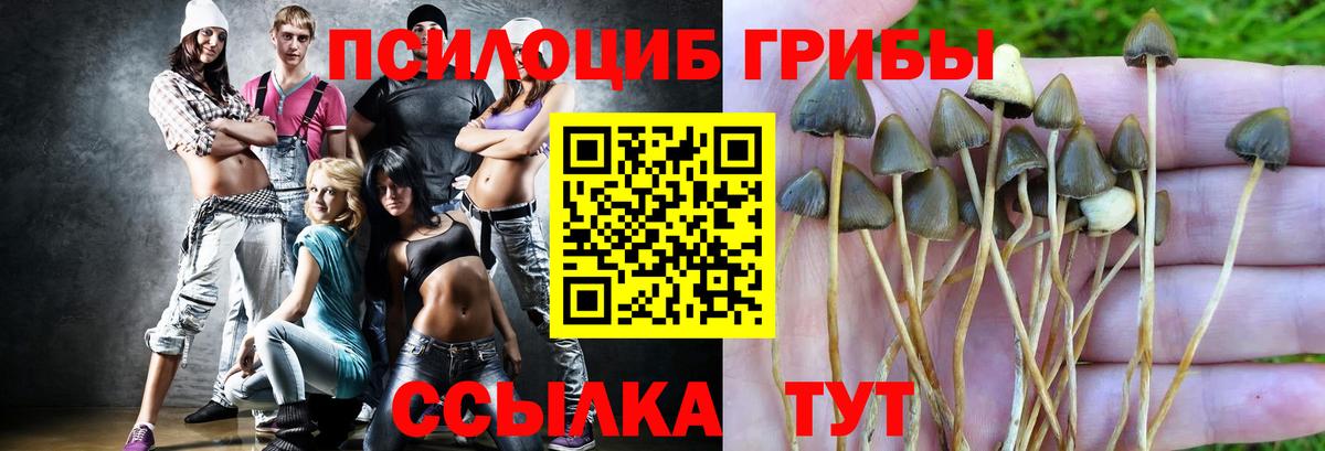 Галлюциногенные грибы MAGIC MUSHROOMS Димитровград